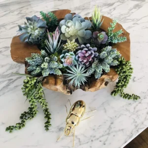 Artificial succulent plants