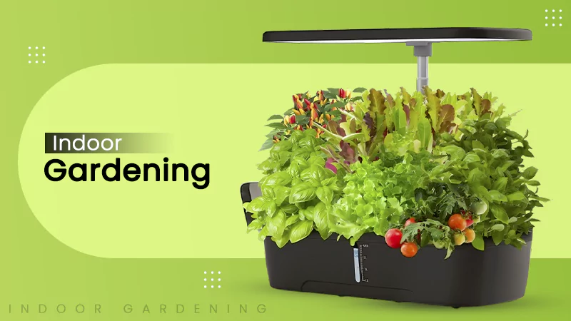 Indoor Gardening