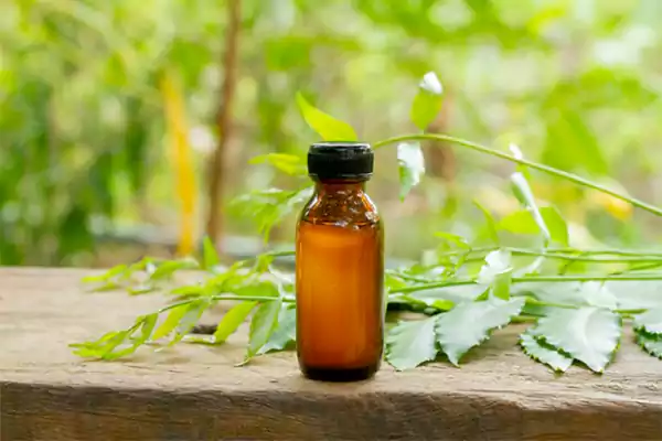 Neem oil for plants