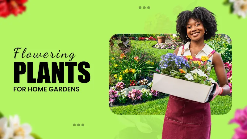 all season flowers