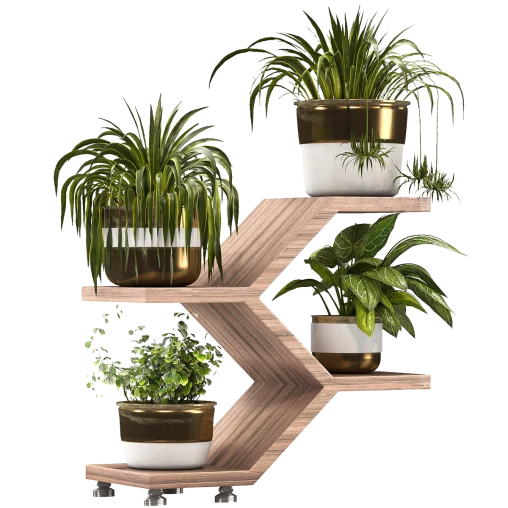 plant img