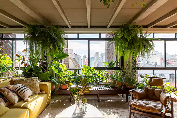 Aesthetic Houseplants That Improve Interior Design