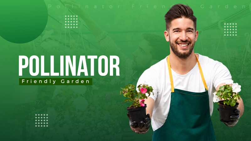 Pollinator Friendly Garden