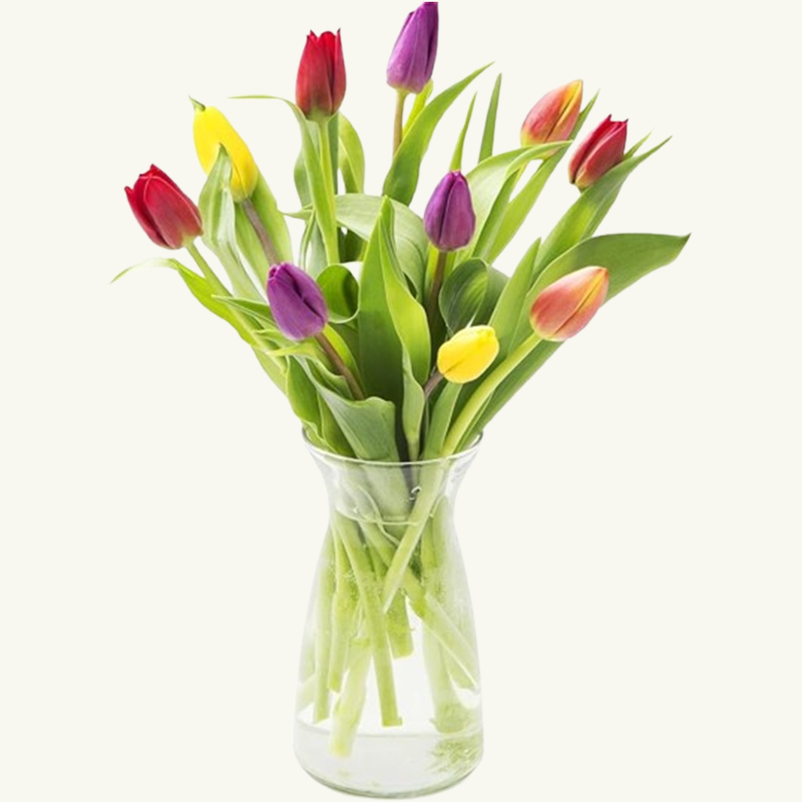 Tulip Bouquet