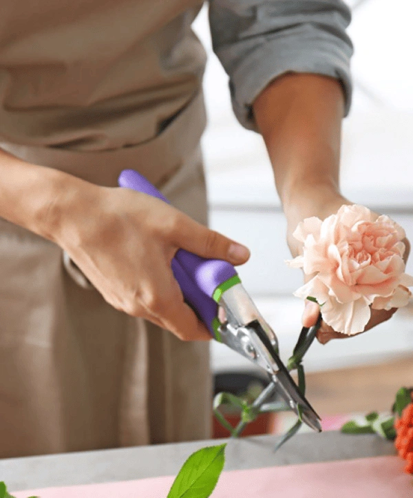 Cut the stems