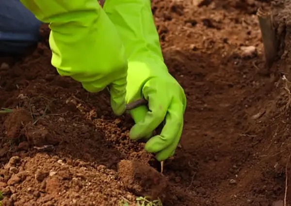 Digging a hole