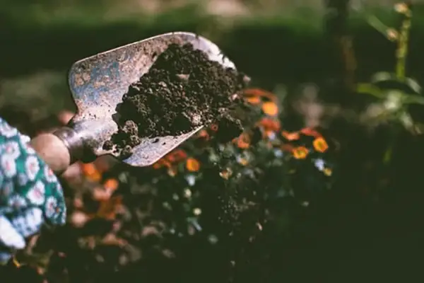 Soil mix